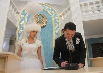 Выкройка мягкой игрушки - черепашки Взаимоотношения животного мира. Симбиоз