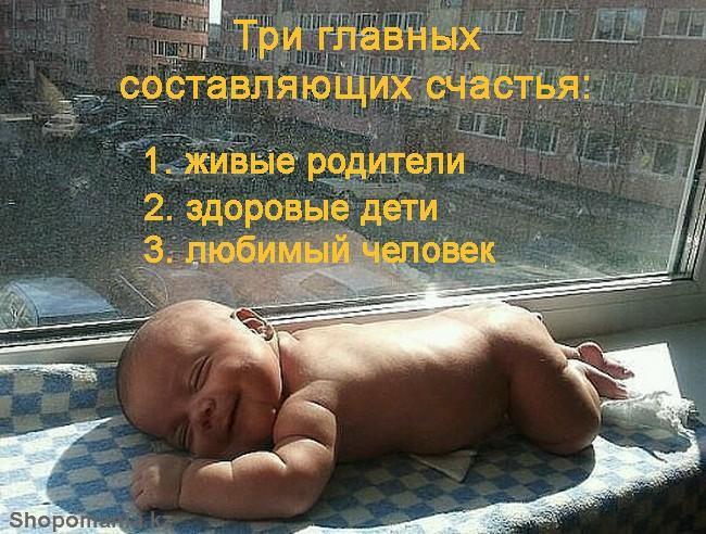 Как сажать розы из китая 56 Как сажать розы из китая 8