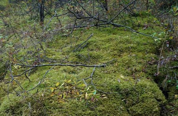 Тургеньский водопад как добраться на машине карта. Смотреть фото Тургеньский водопад как добраться на машине карта. Смотреть картинку Тургеньский водопад как добраться на машине карта. Картинка про Тургеньский водопад как добраться на машине карта. Фото Тургеньский водопад как добраться на машине карта