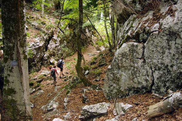 Тургеньский водопад как добраться на машине карта. Смотреть фото Тургеньский водопад как добраться на машине карта. Смотреть картинку Тургеньский водопад как добраться на машине карта. Картинка про Тургеньский водопад как добраться на машине карта. Фото Тургеньский водопад как добраться на машине карта
