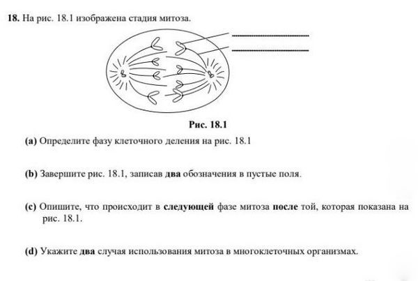 Экзамены 9 класс казахстан 2024 год