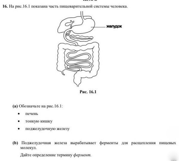 Гиа 2023 тесты